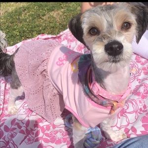 Meet your Posher, Erika